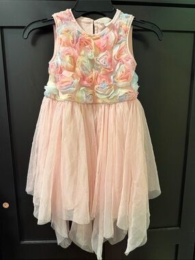 Cat & Jack Pink Pastel Rosette Tulle Dress 4T